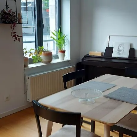 Spacious Studio In Mons Apartment Mons