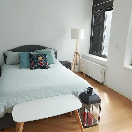 Spacious Studio In Mons *