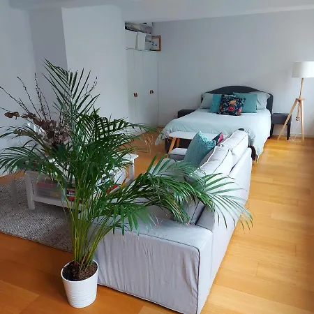 Spacious Studio In Mons *